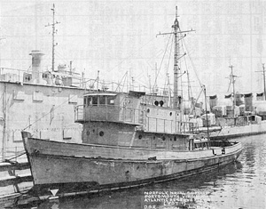 YDT-1