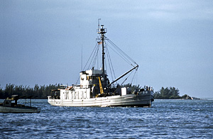 YF-519